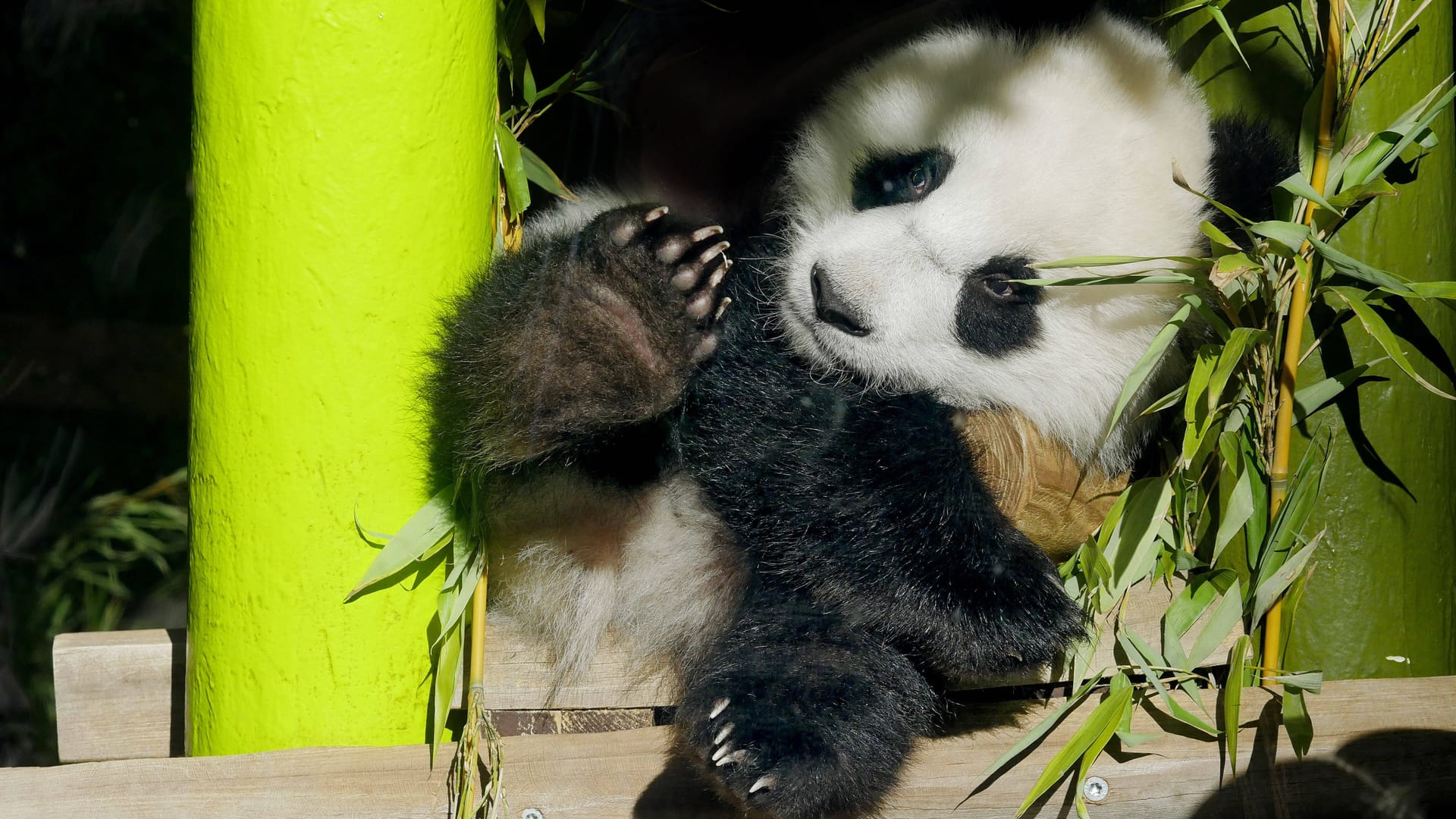 imago images 0835137366 imago images 0835137366