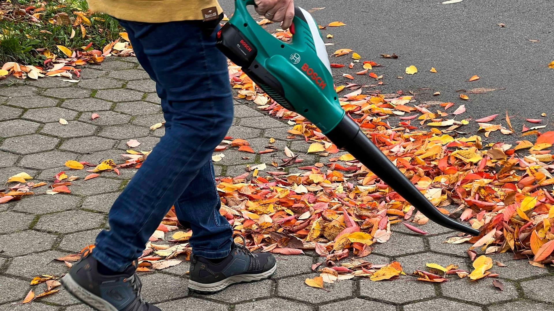 Laub auf der Straße (Archivbild): Wie sieht eine richtige Entfernung aus? Laub auf der Straße (Archivbild): Wie sieht eine richtige Entfernung aus?