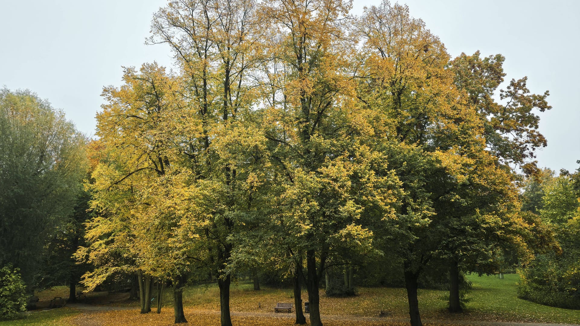 imago images 0838246364 imago images 0838246364