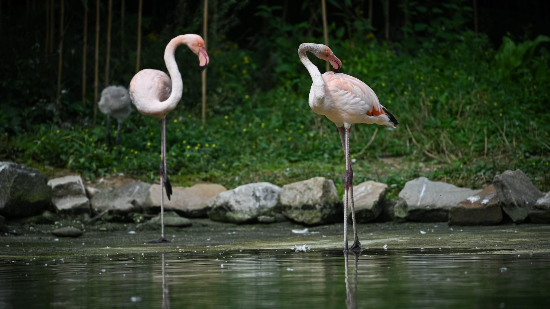 imago830619311 imago830619311