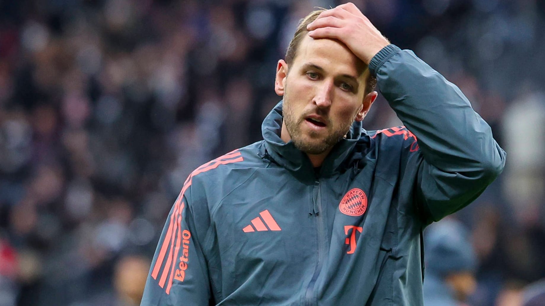 Harry Kane: Der Stürmer muss aussetzen. Harry Kane: Der Stürmer muss aussetzen.