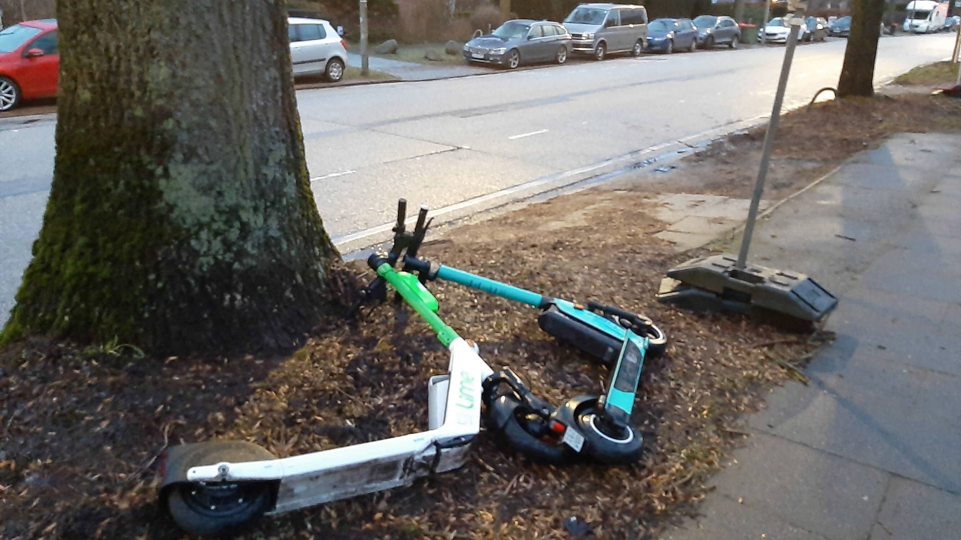 Wahllos abgelegte E-Scooter (Symbolfoto): Ein Hamburger Bezirk geht gegen das Chaos auf Gehwegen vor.