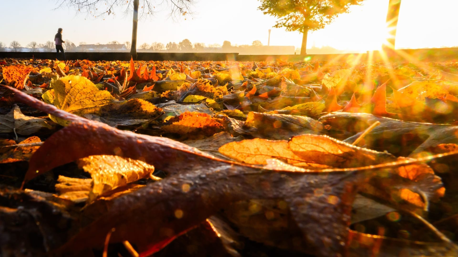 Herbst in Hannover Herbst in Hannover