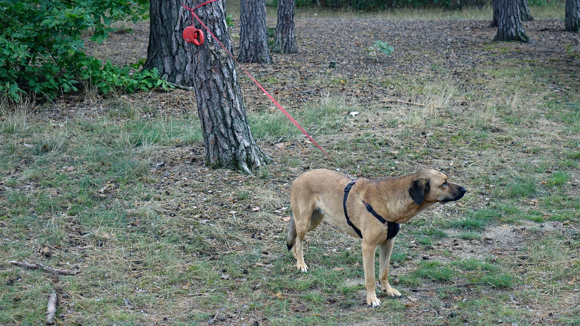 imago images 0239772466