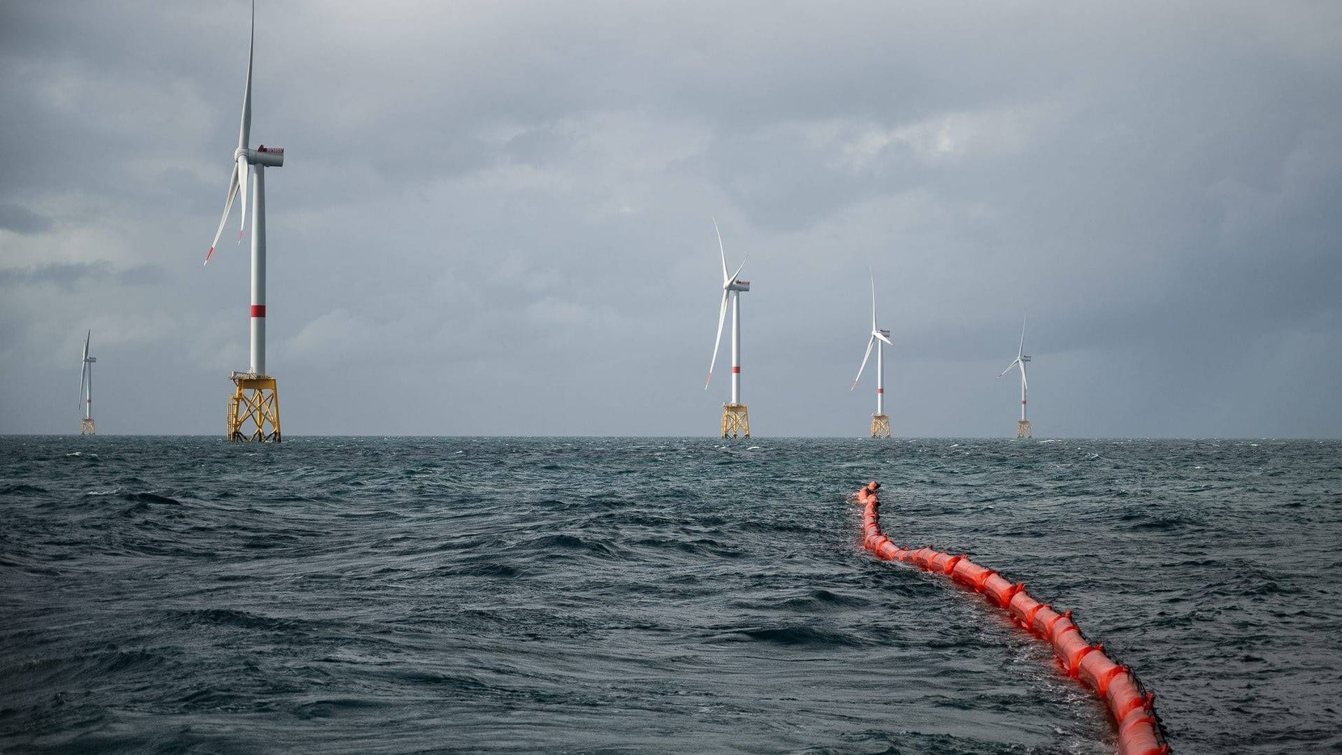 imago images 0768257648