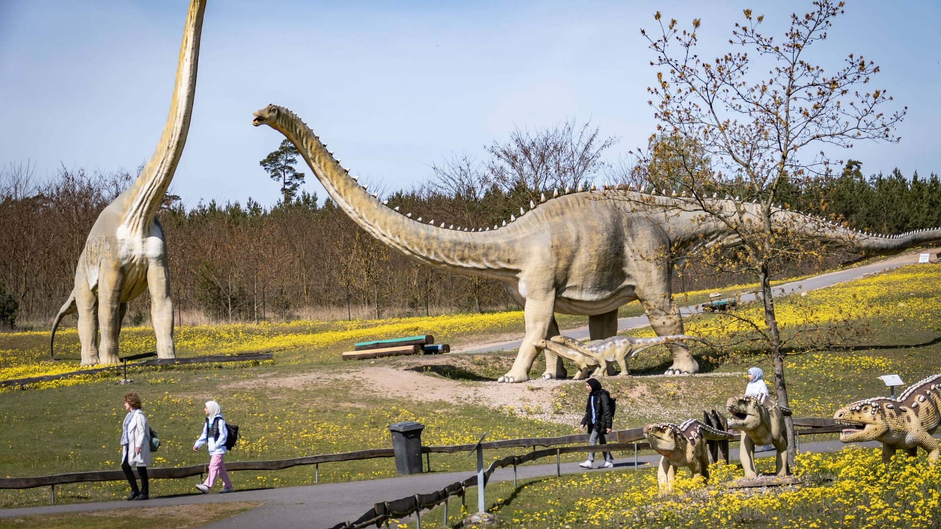 Der Saurierpark in Germendorf: Von Berlin aus ist er gut zu erreichen. Der Saurierpark in Germendorf: Von Berlin aus ist er gut zu erreichen.