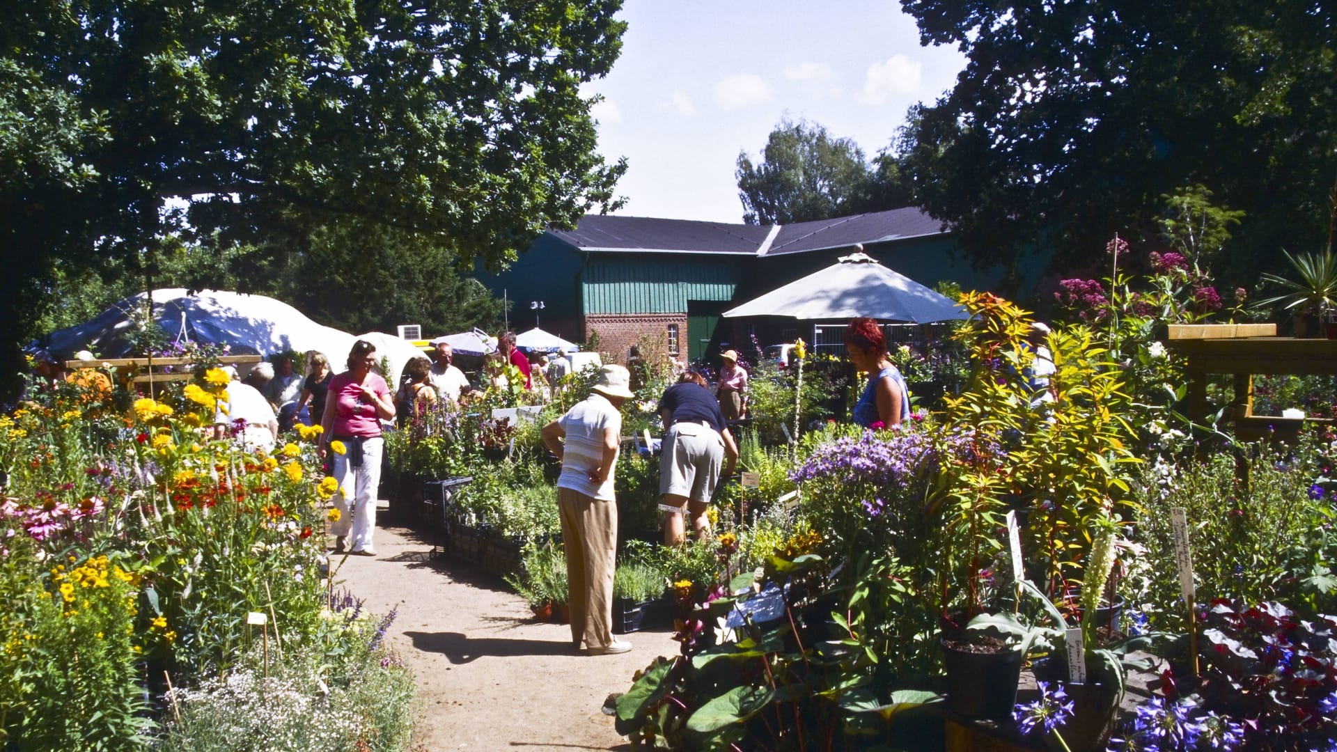 Blumenmarkt im Baumpark: Auch im Sommer gibt es im Arboretum Ellerhoop Veranstaltungen. Das Herbstfest findet im Oktober statt.