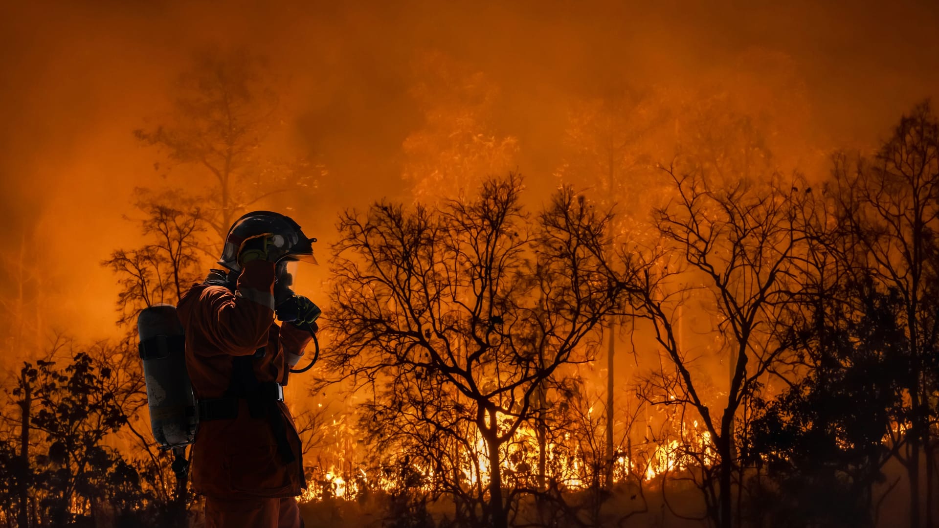 Firefighters battle a wildfire because climate change and global warming is a driver of global wildfire trends. Firefighters battle a wildfire because climate change and global warming is a driver of global wildfire trends.