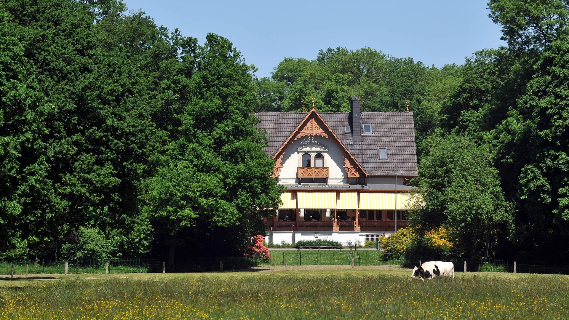 Meierei im Bremer Bürgerpark (Archivfoto): Die Betreiber des Lokals übernehmen jetzt auch die Geschicke des Kuhhirten auf dem Stadtwerder. Meierei im Bremer Bürgerpark (Archivfoto): Die Betreiber des Lokals übernehmen jetzt auch die Geschicke des Kuhhirten auf dem Stadtwerder.