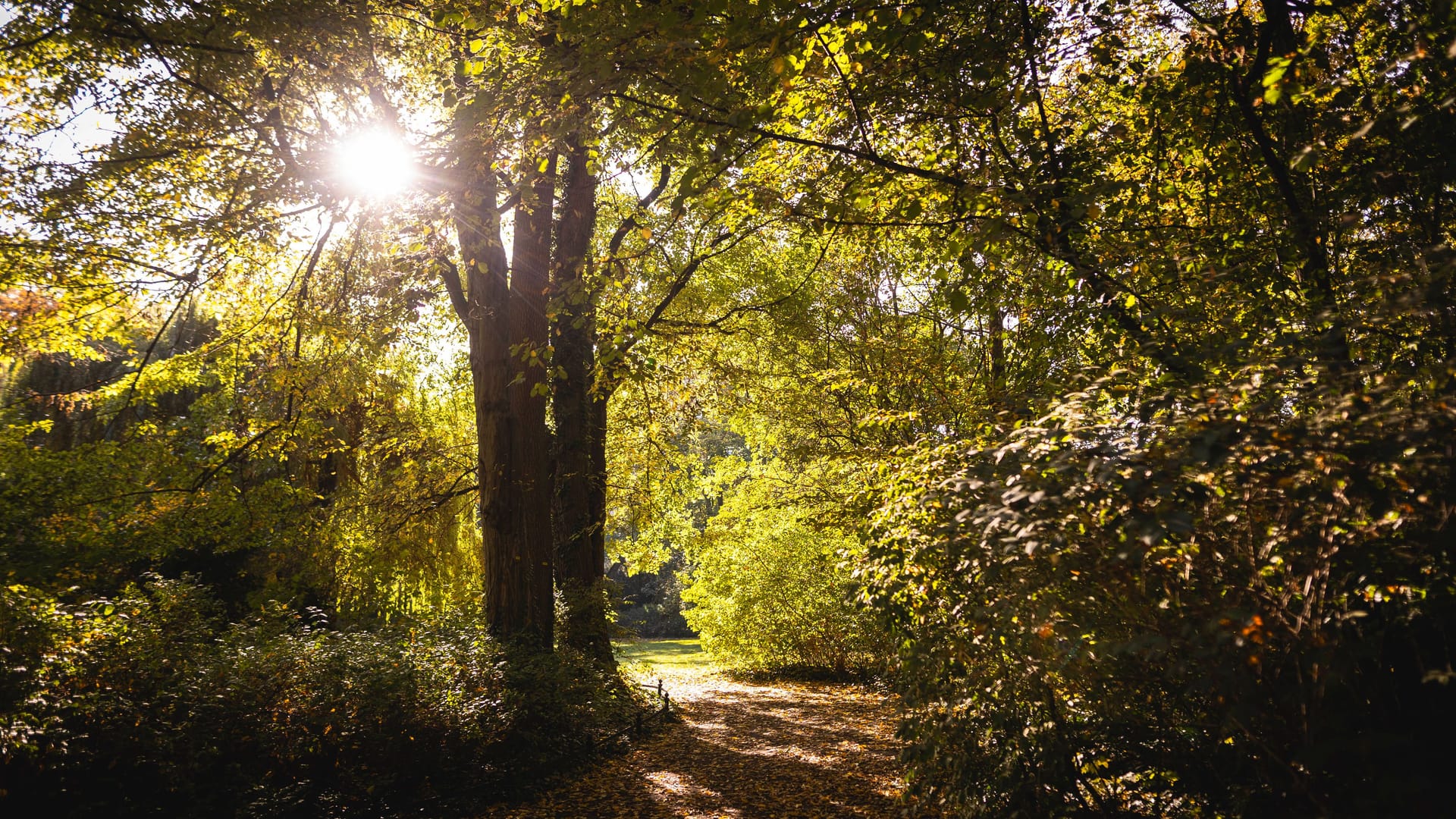 imago images 0837757572 imago images 0837757572