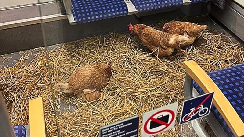 urn:newsml:dpa.com:20090101:251014-935-892070 urn:newsml:dpa.com:20090101:251014-935-892070