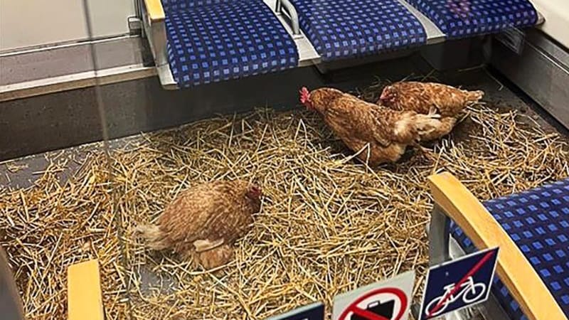 urn:newsml:dpa.com:20090101:251014-935-892070