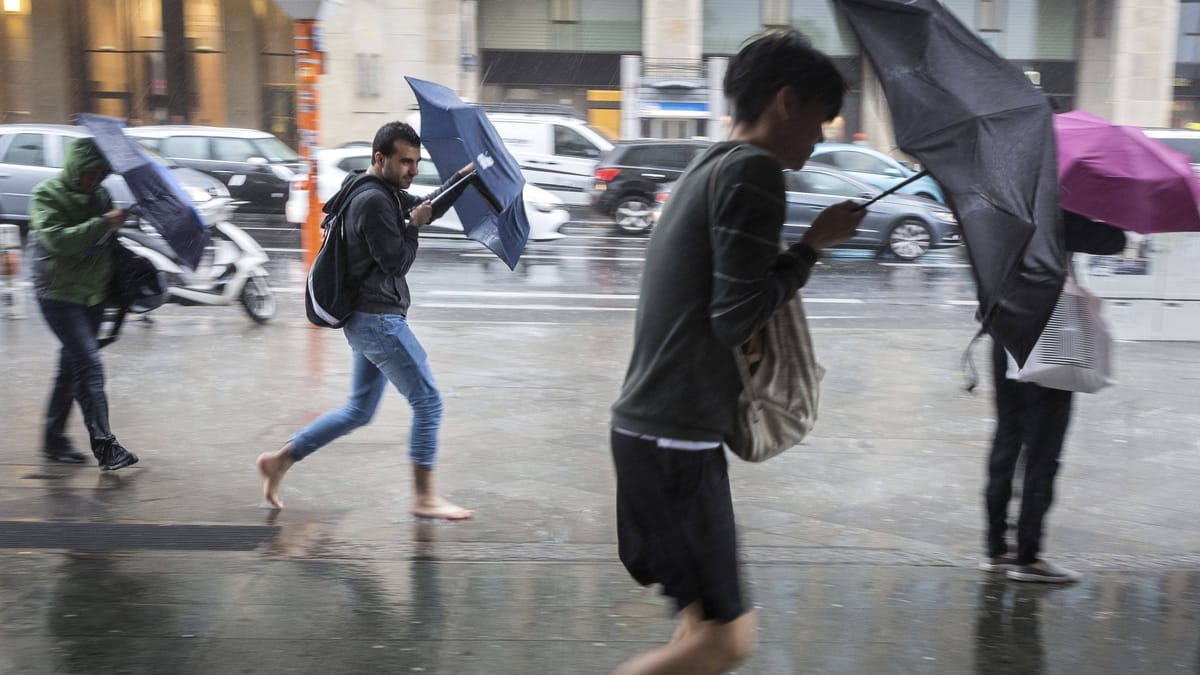 Berlin in Brandenburg pričakujeta vetroven začetek tedna s sunki orkanske moči