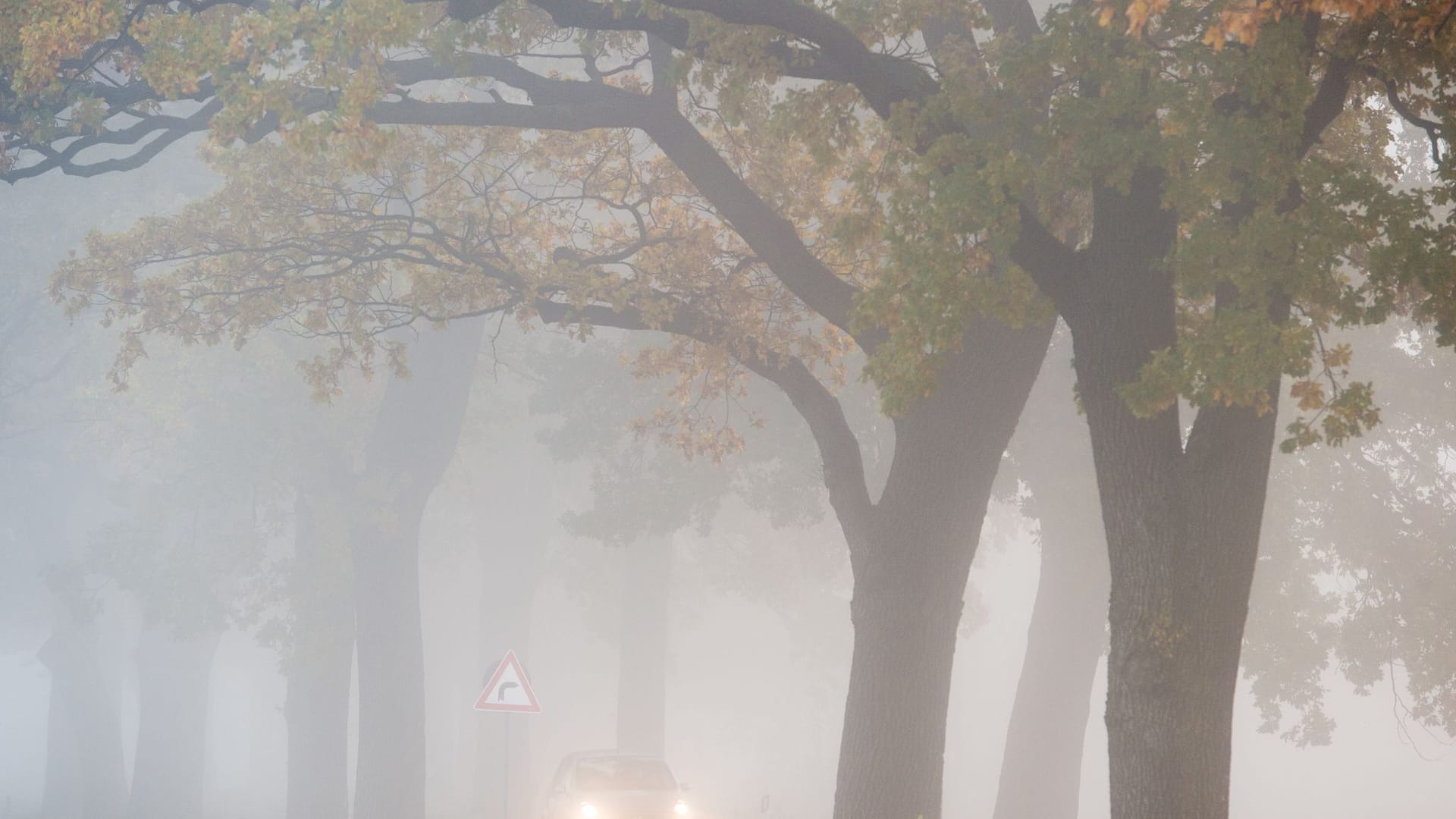 Auto fährt bei Nebel auf einer Landstraße