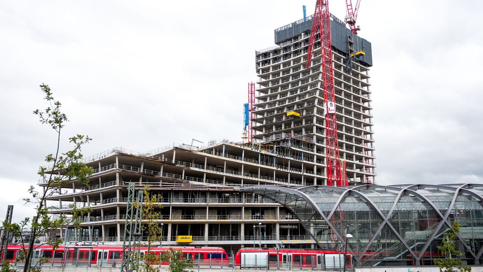 Naturkundemuseum soll in Elbtower kommen
