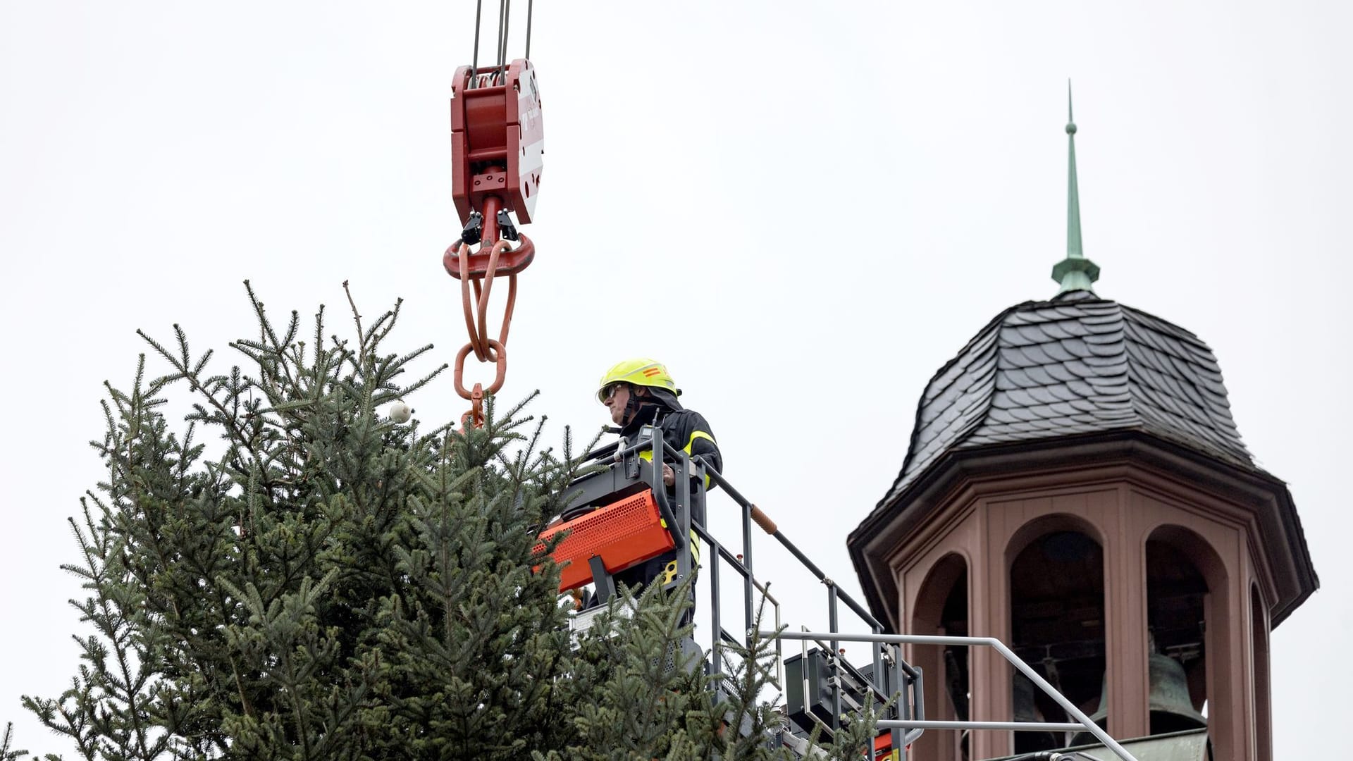 Weihnachtsbaum auf dem Frankfurter Römerberg wird aufgestellt Weihnachtsbaum auf dem Frankfurter Römerberg wird aufgestellt