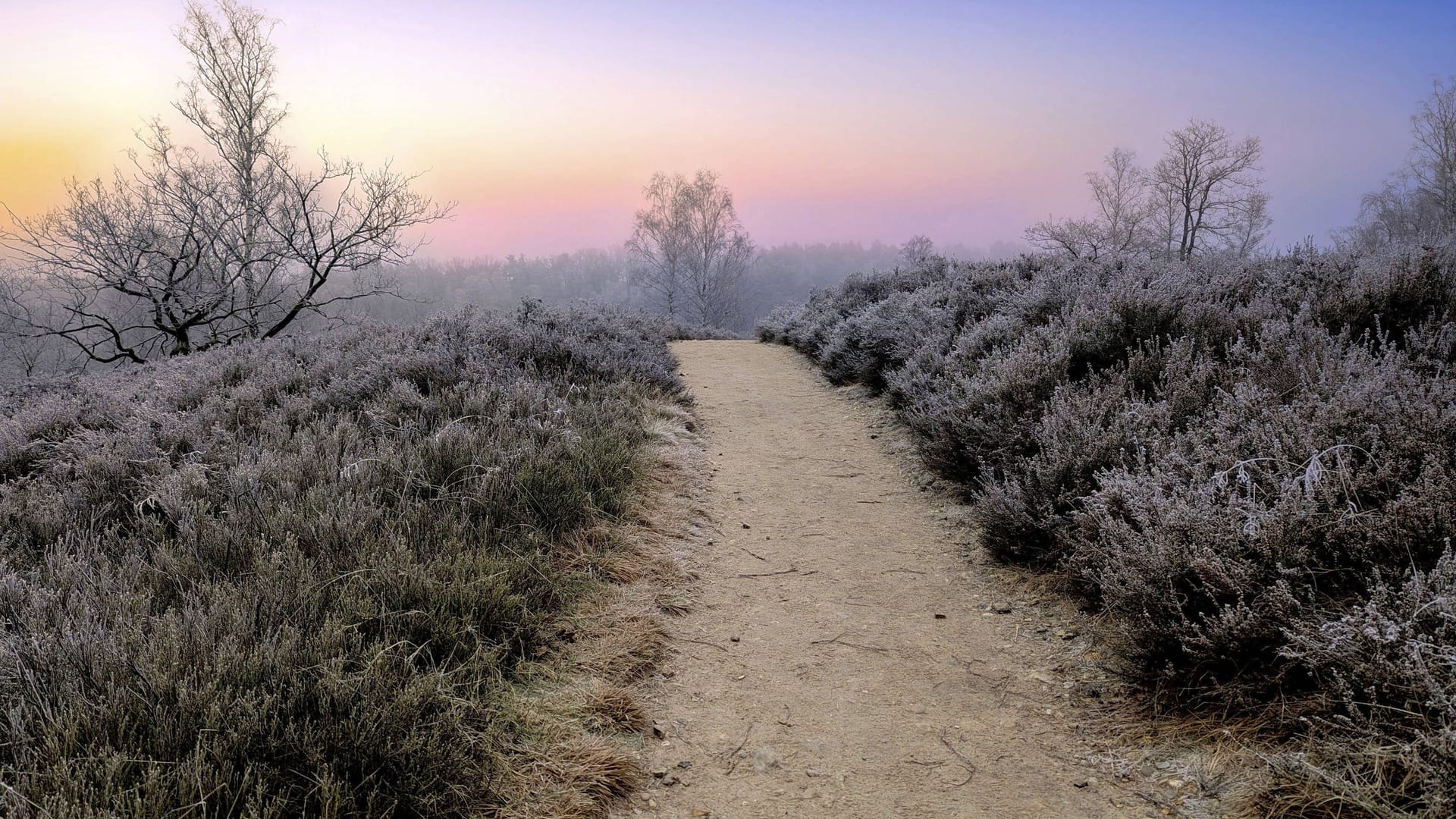 imago images 0798059041