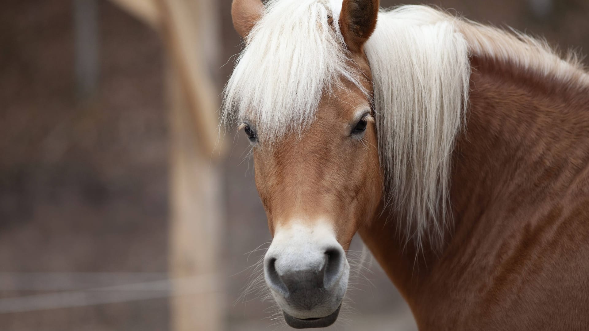 imago images 0824732432