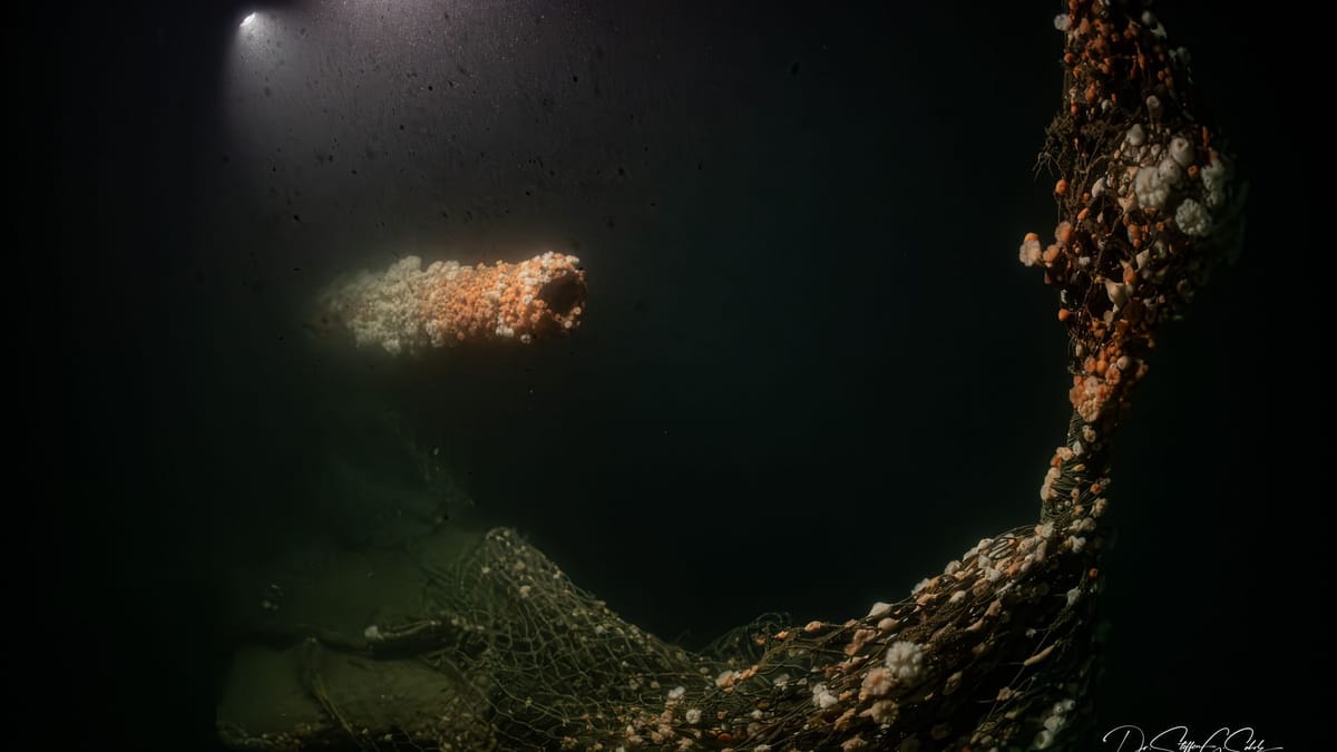 Schiff aus dem Ersten Weltkrieg im Nordkanal: Forscher finden Kriegswrack