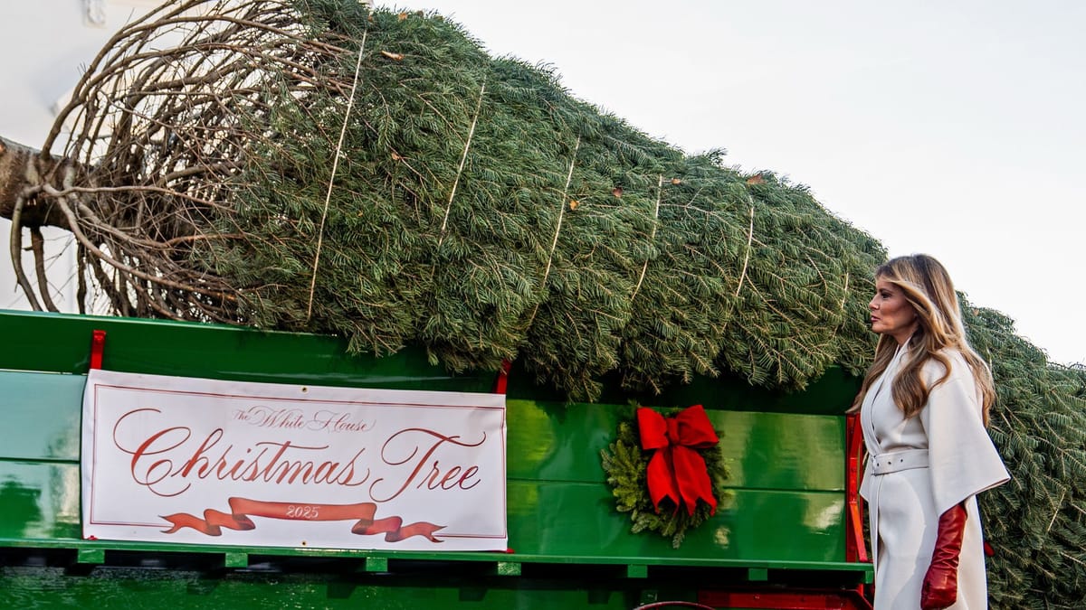 Weihnachtsbaum und Truthähne im Weißen Haus