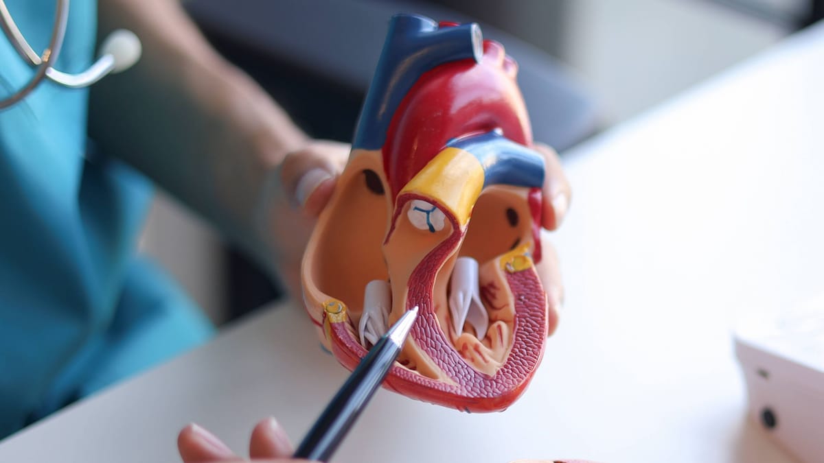 Cholesterinmedikament Repatha senkt Herzinfarkt-Risiko um 36 Prozent