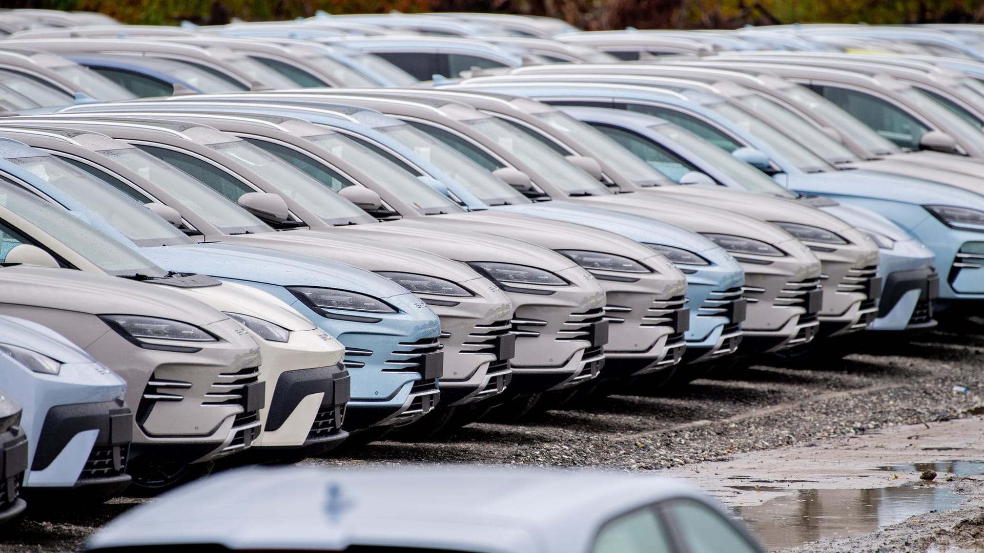 Elektrofahrzeuge von Byd