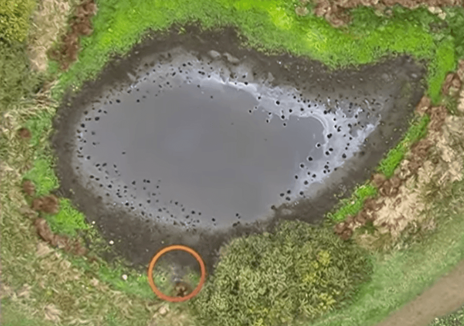 An dieser Stelle lag die Leiche von Fabian.