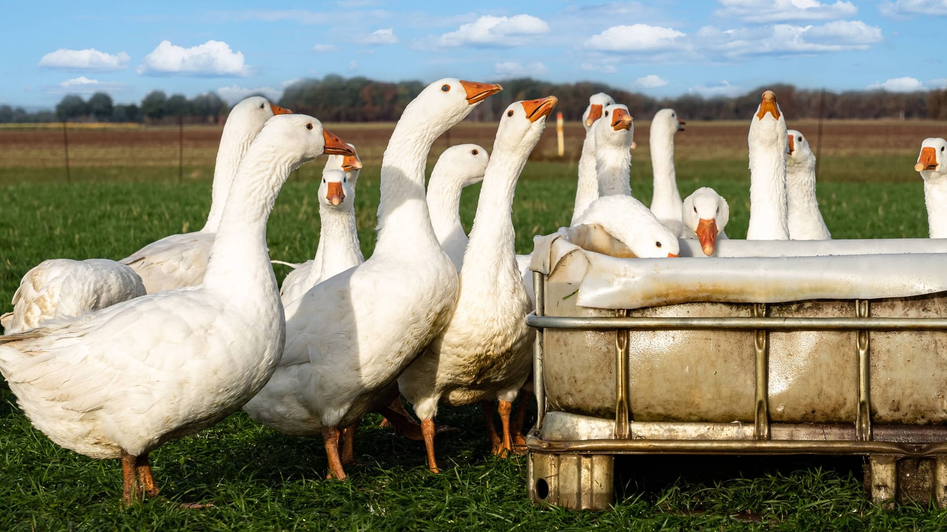 imago image 193187529 imago image 193187529