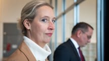 AfD-Positionen im Check