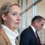 AfD-Positionen im Check