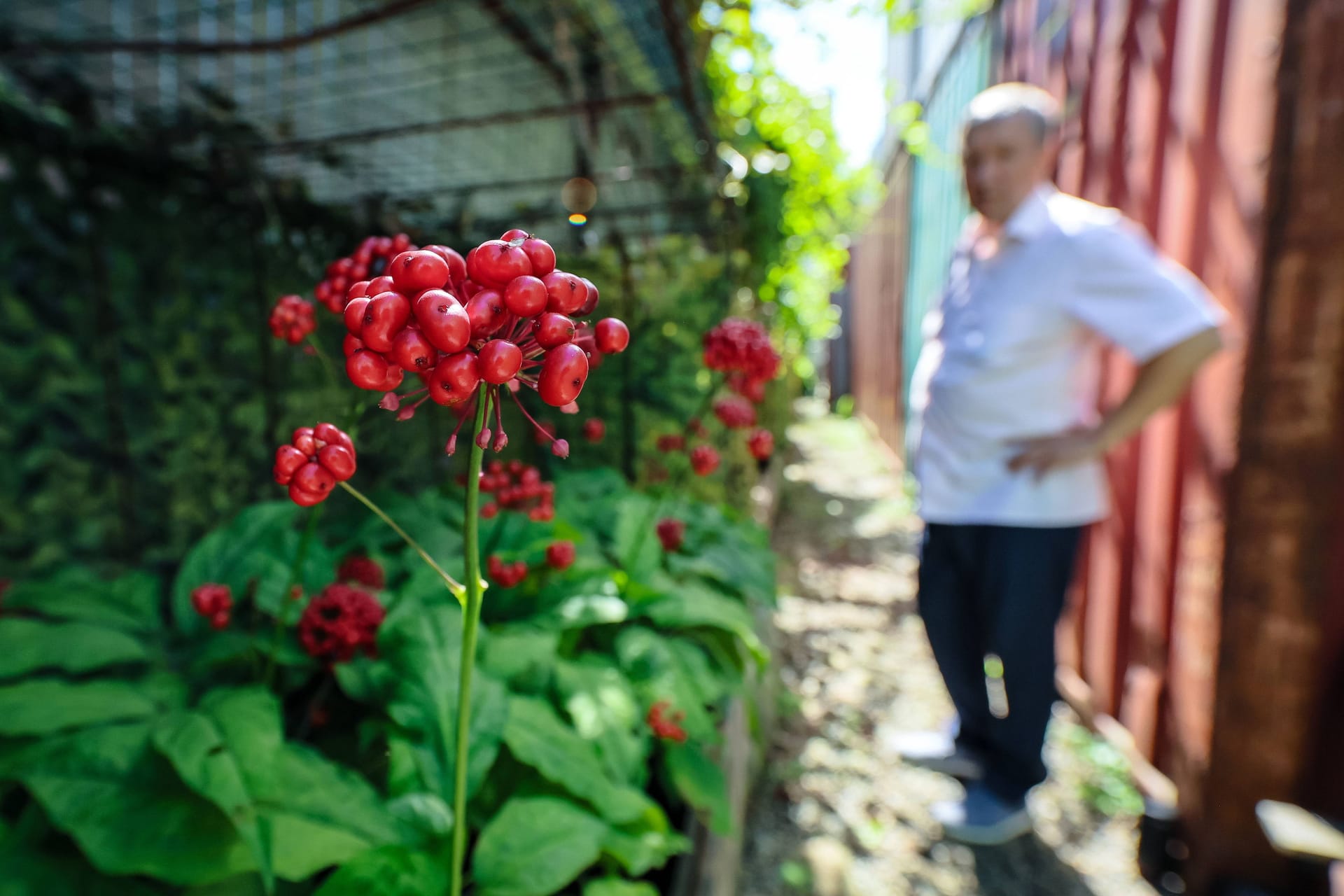 imago images 0833045703