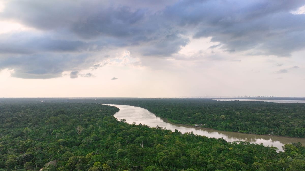 Brasilien-Deutschland-gibt-eine-Milliarde-f-r-Tropenfonds