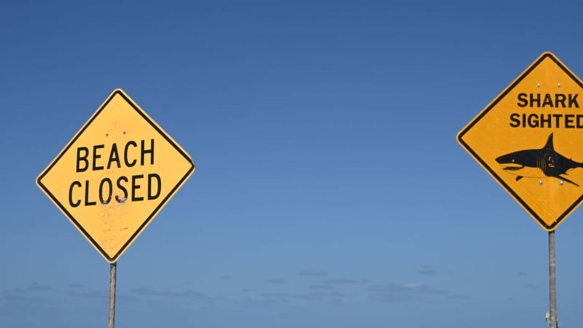 Australien: Schwedisches Paar von Hai attackiert – Frau tot