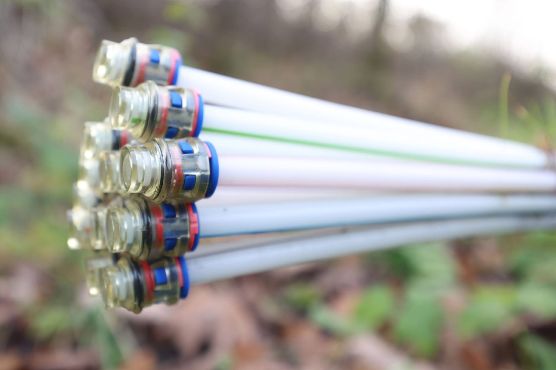 imago images 0839309626