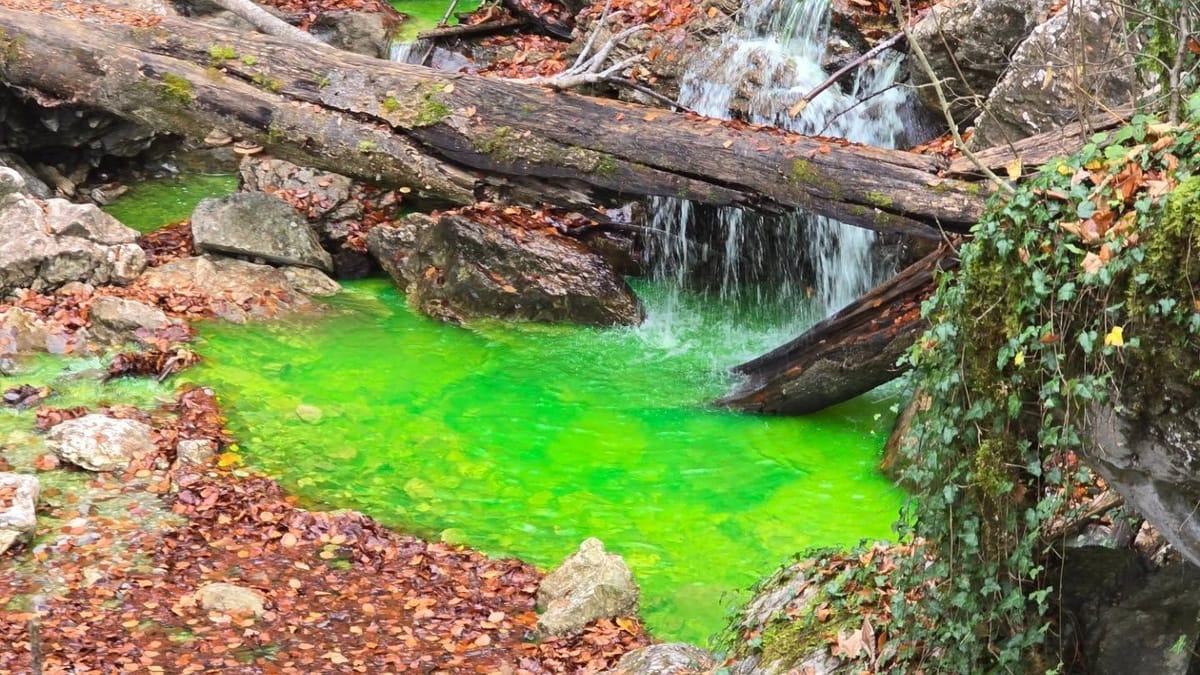 Kochel am See: Wasser von Wasserfall färbt sich neongrün – Feuerwehreinsatz