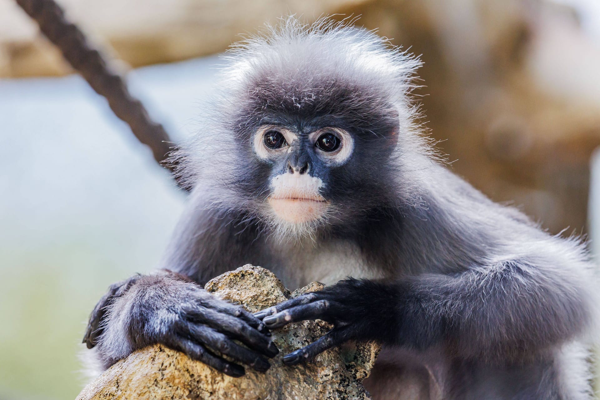 imago images 0818255406