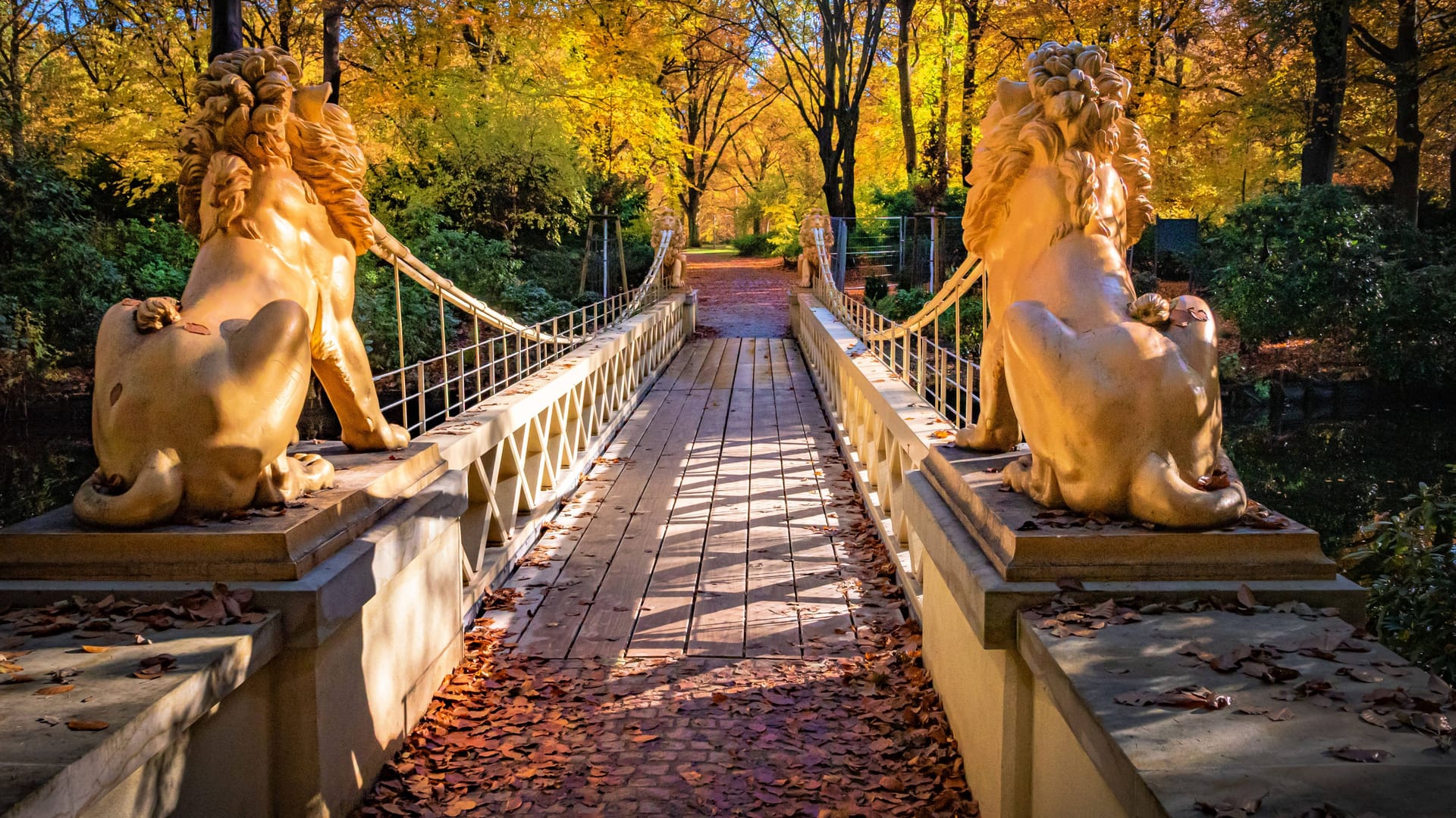 imago images 0839487317 imago images 0839487317