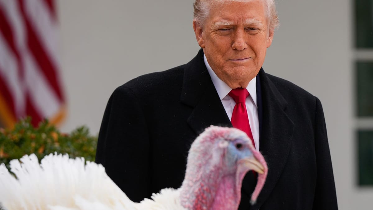 US-Newsblog: Trump teilt bei Truthahn-Termin gegen Demokraten aus