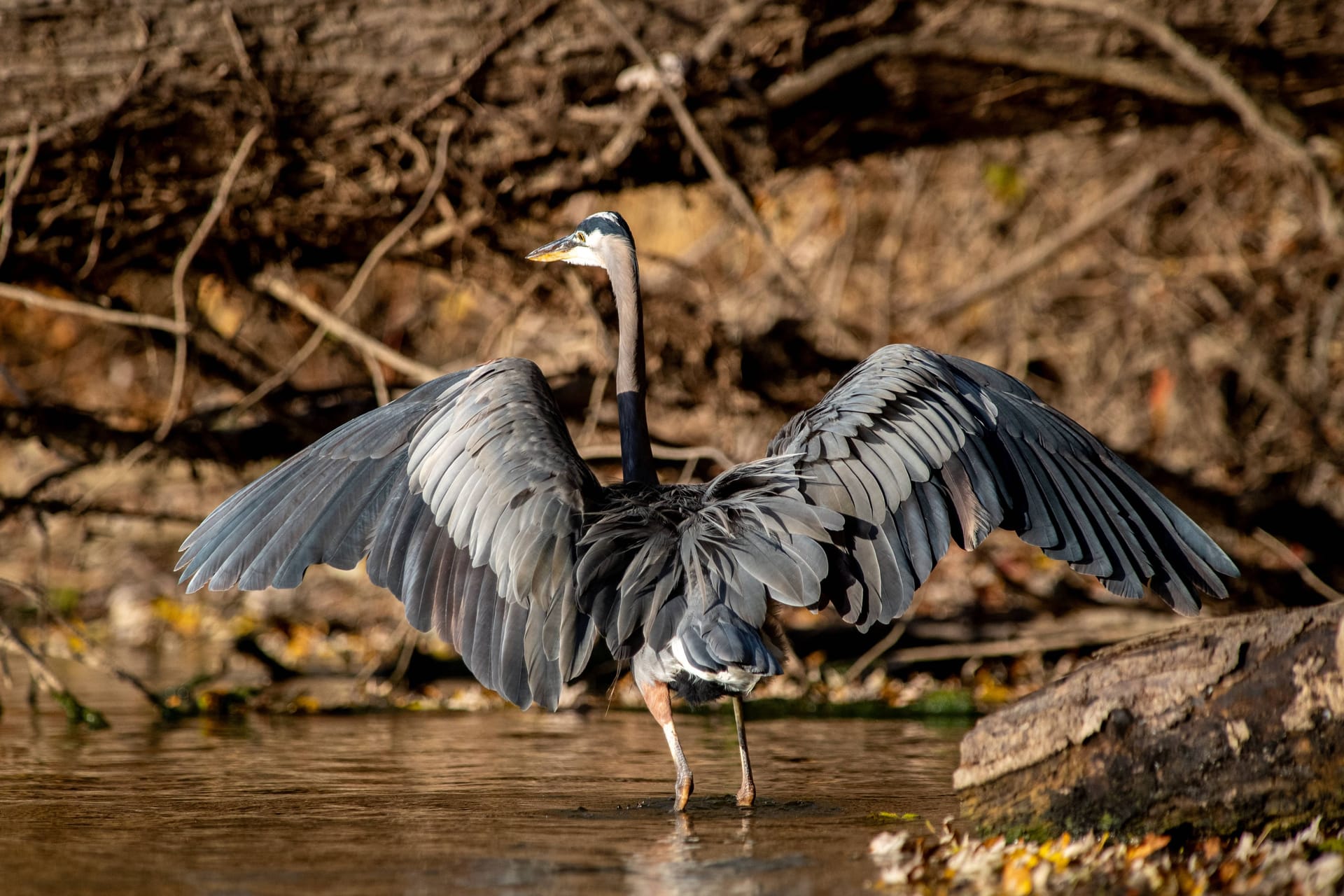 imago images 0839585283