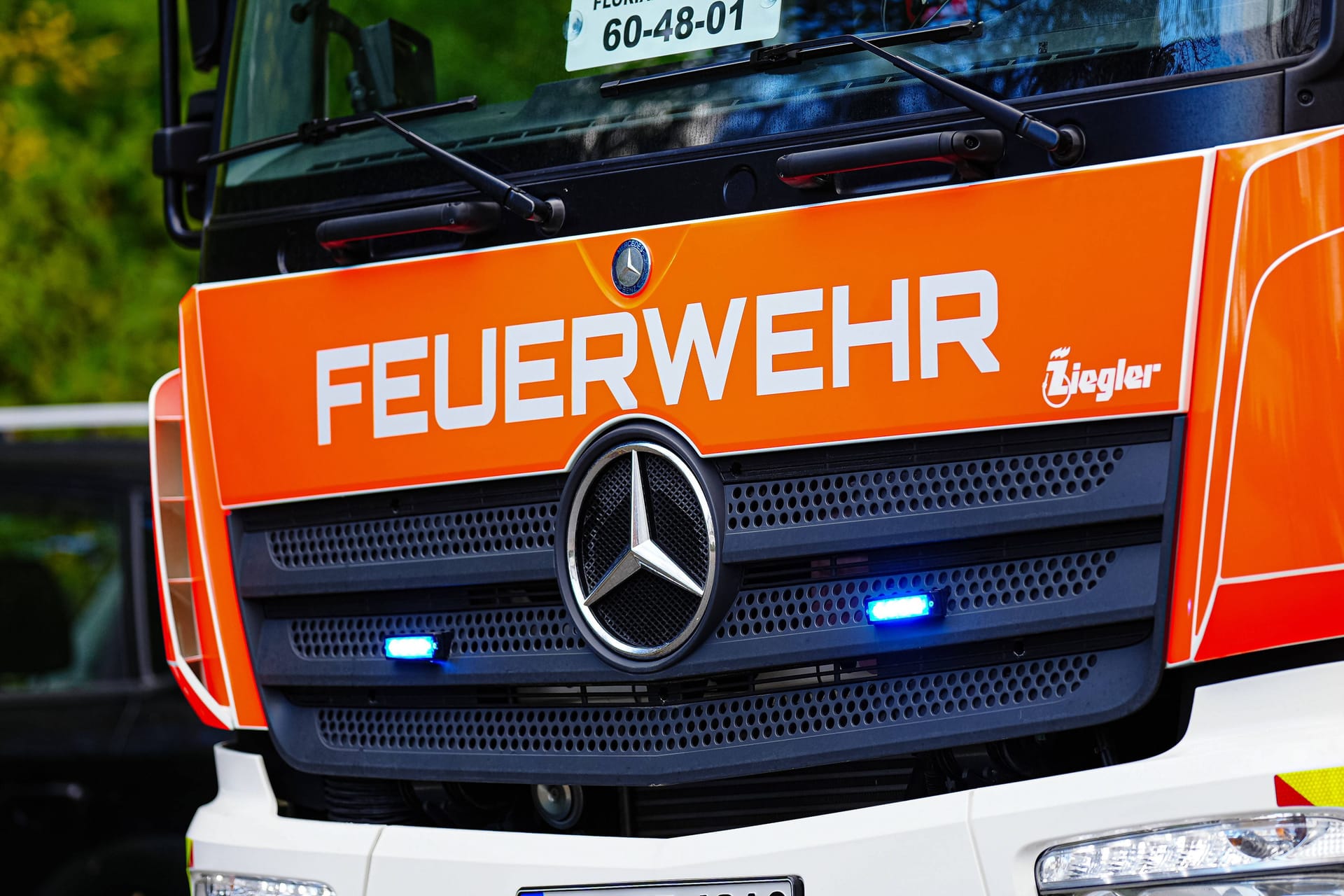 imago images 0838523539