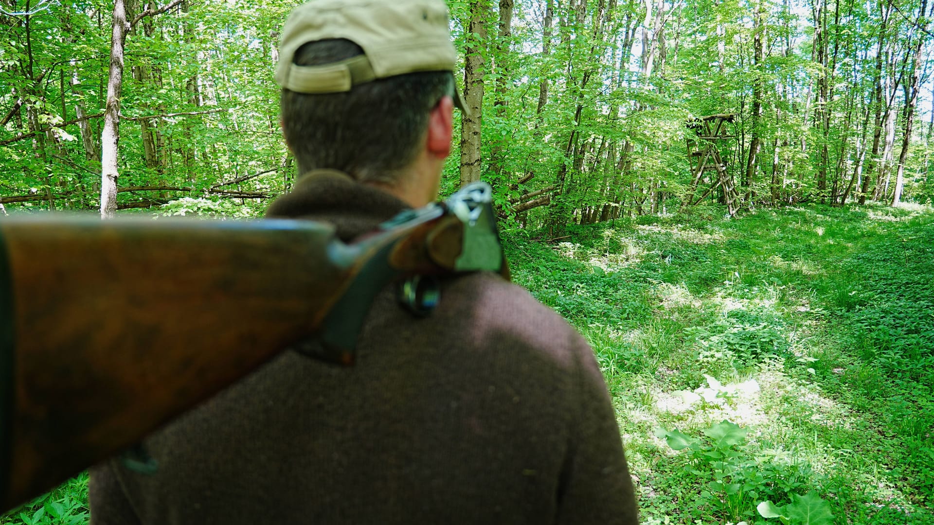Ein Jäger mit einer Flinte (Symbolbild): In Tschechien ermitteln die Behörden nach einem tödlichen Schuss. Ein Jäger mit einer Flinte (Symbolbild): In Tschechien ermitteln die Behörden nach einem tödlichen Schuss.