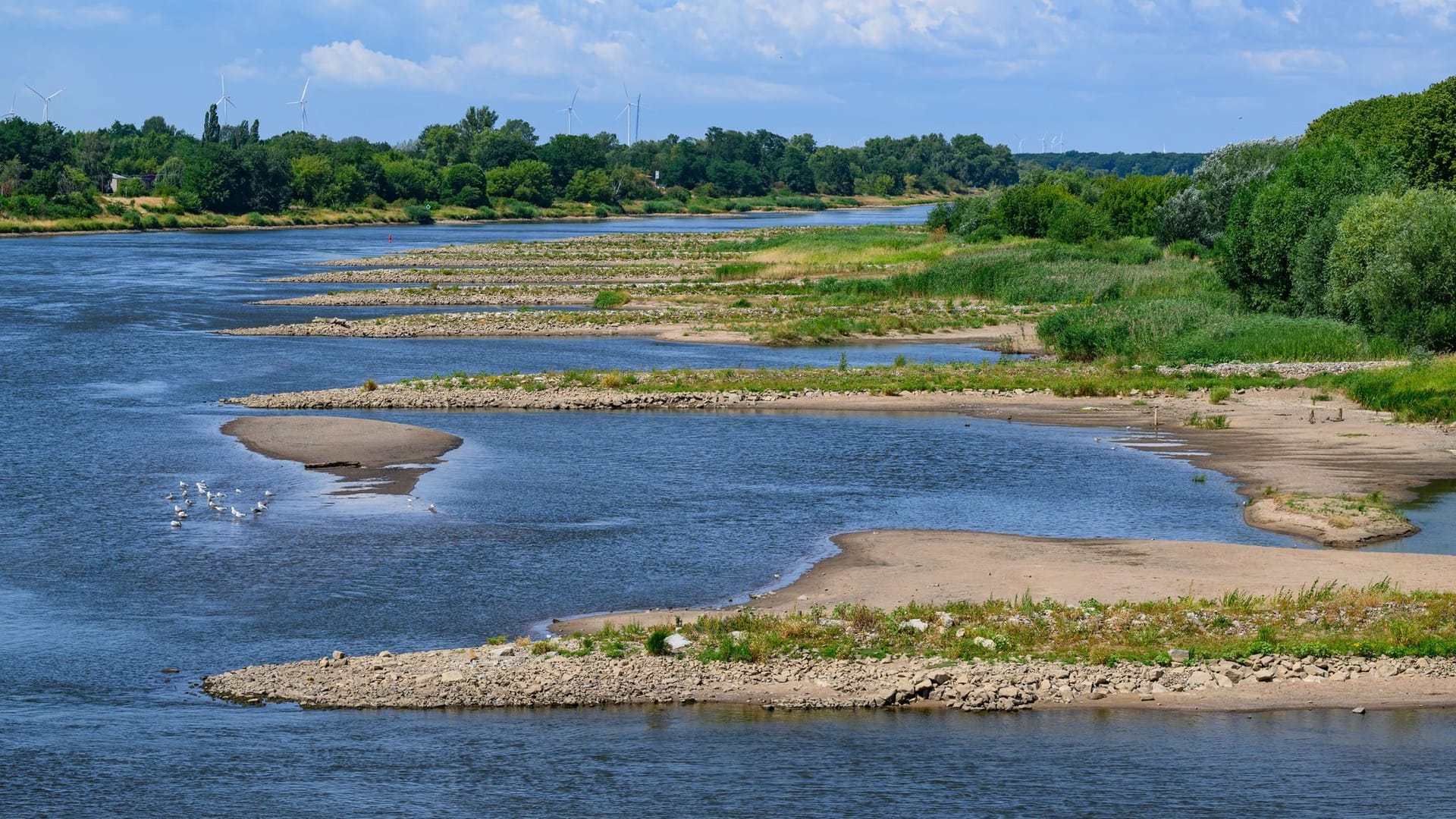 Niedrigwasser im Grenzfluss Oder Niedrigwasser im Grenzfluss Oder
