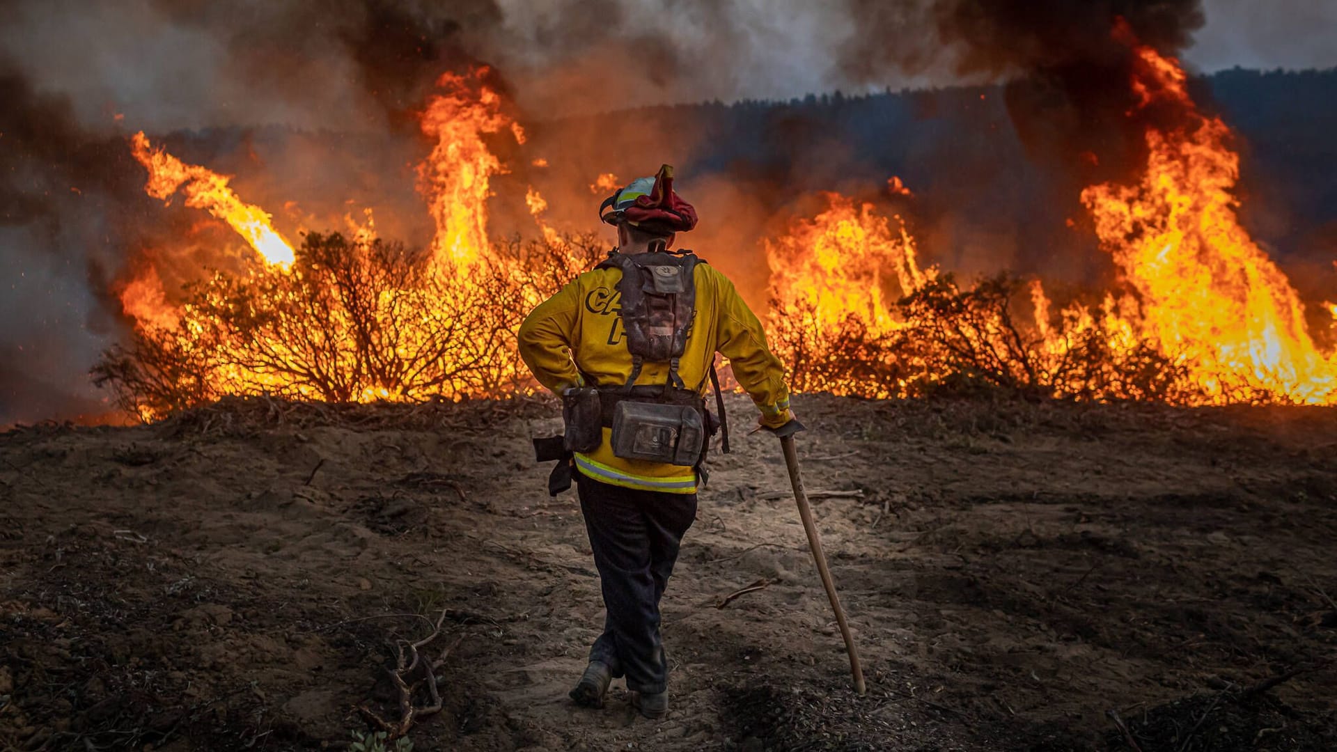 Waldbrand in Kalifornien im August 2021: Durch die halbherzige Klimapolitik werden Katastrophen wie Brände, Überschwemmungen und Dürren immer wahrscheinlicher. Waldbrand in Kalifornien im August 2021: Durch die halbherzige Klimapolitik werden Katastrophen wie Brände, Überschwemmungen und Dürren immer wahrscheinlicher.