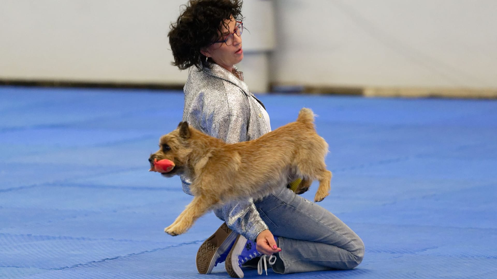 Start der Messe "Hund & Pferd"