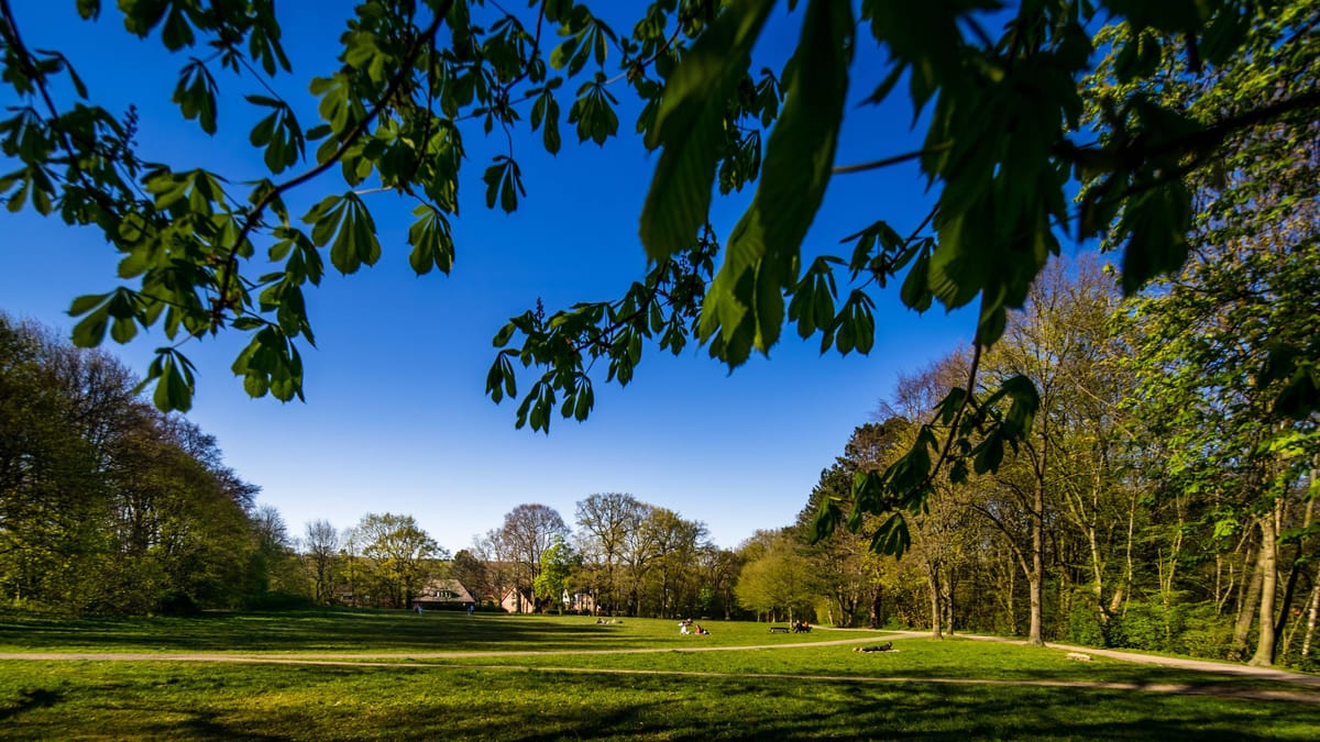 Hamburg: Mann entblößt sich im Park vor 12-Jähriger – Polizei sucht Zeugen