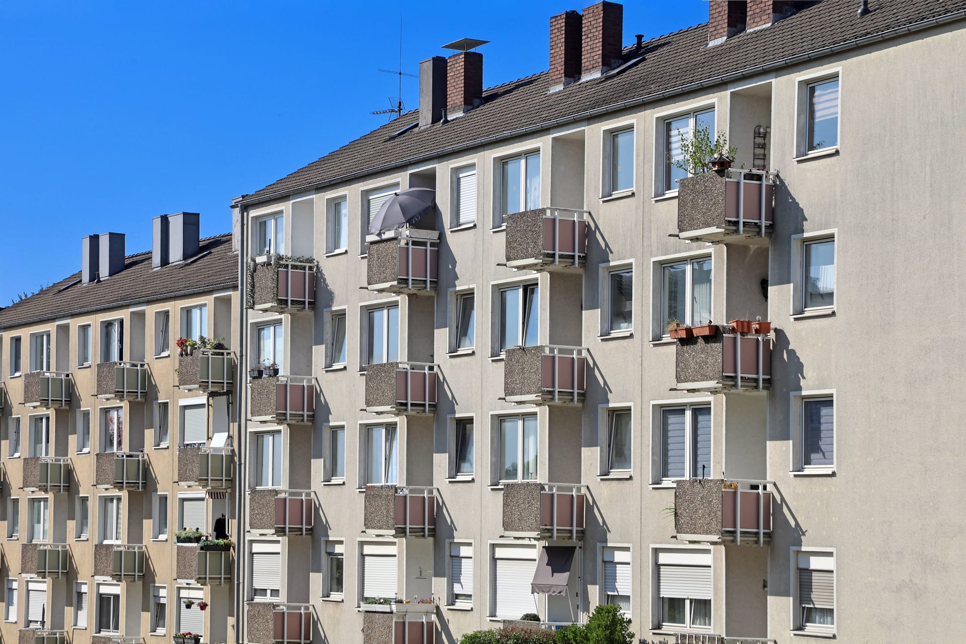 imago images 0830904057