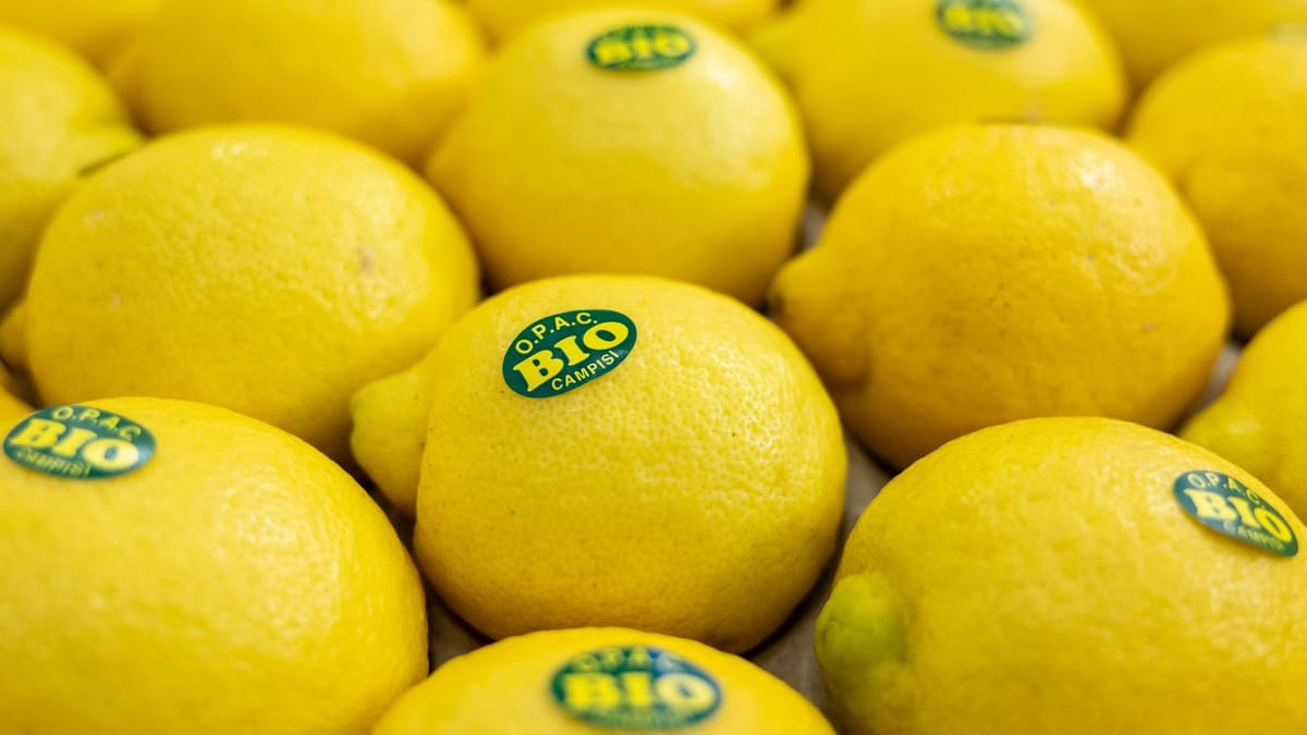 Bio-Lebensmittel sind so gefragt wie nie