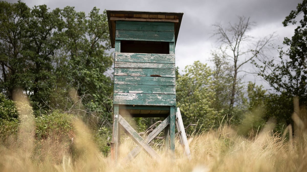 Mögliche Großkatze im nördlichen Rheinland-Pfalz gesichtet