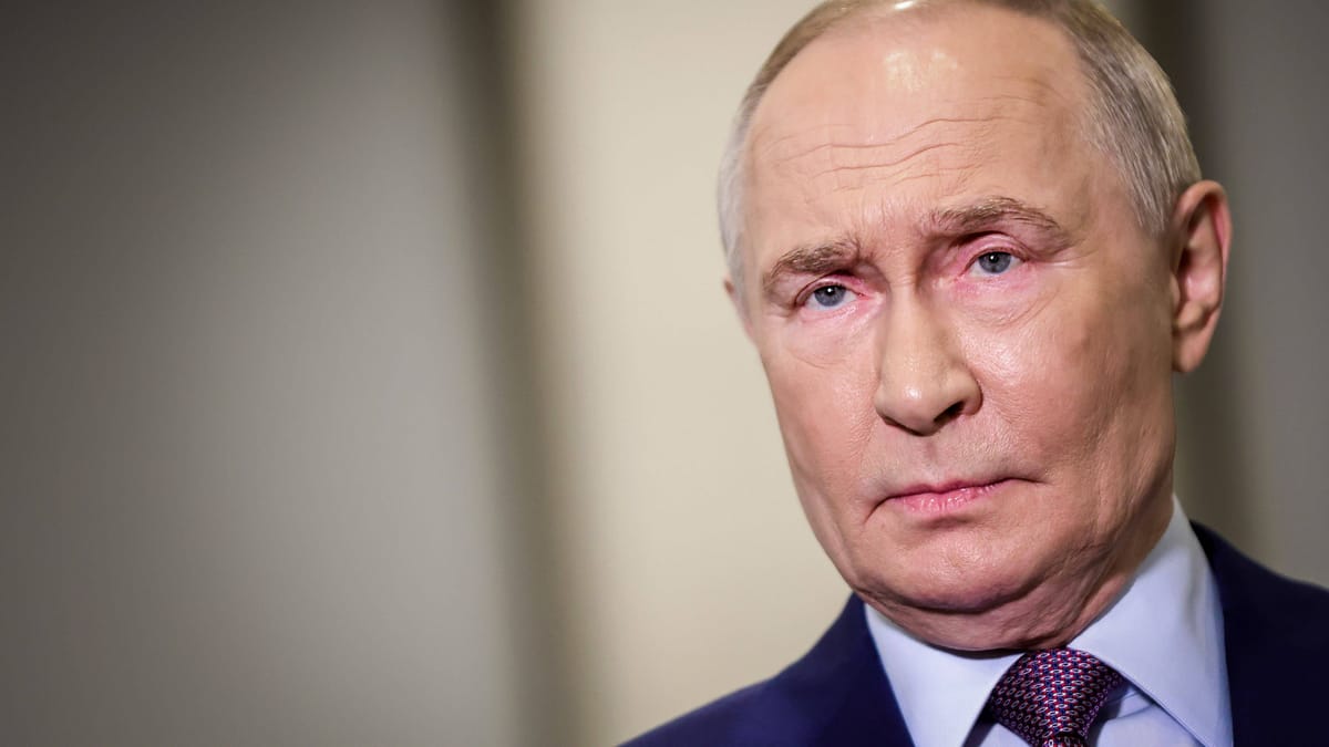 AfD auf Russlandreise: Kreml organisiert Widerstand gegen Merz