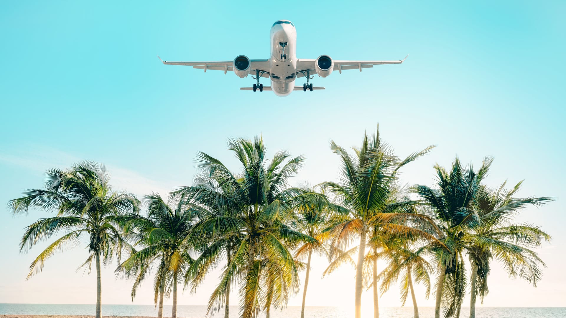 Ferienflieger über karibischer Palmeninsel: In die Ferne fliegen wird ab nächstem Jahr billiger. Ferienflieger über karibischer Palmeninsel: In die Ferne fliegen wird ab nächstem Jahr billiger.